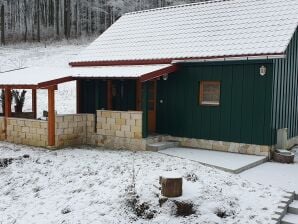 Berghütte Ferienparadies am Rennweg - Westlicher Rennsteig - image1