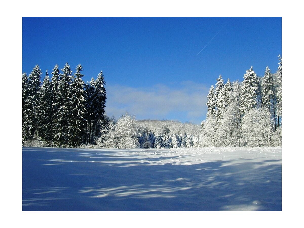 Balsam für die Seele