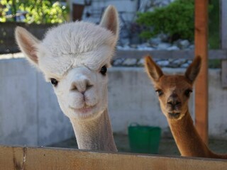 Appartamento per vacanze Wessling Registrazione all'aperto 8