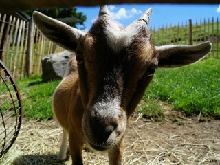 Appartamento per vacanze Wessling Registrazione all'aperto 12