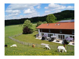 Vakantieappartement Wessling Buitenaudio-opname 5