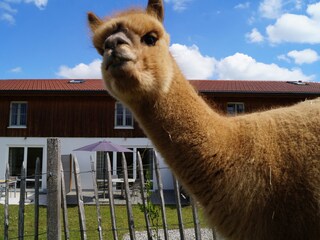 Appartamento per vacanze Wessling Registrazione all'aperto 3