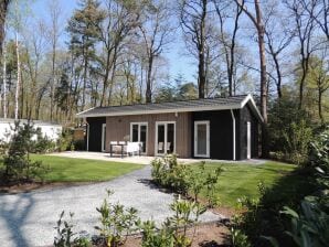 Holiday park Comfortable chalet with combination microwave near the Veluwe - Hoenderloo - image1