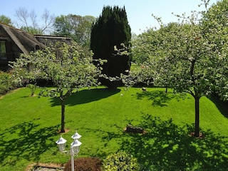 Ferienhaus Saint Martin aux Buneaux Außenaufnahme 2