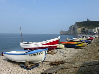 Ferienhaus Saint Martin aux Buneaux Umgebung 17