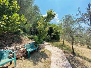 Cottage Santa Maria degli Angeli (Assisi) Outdoor Recording 9