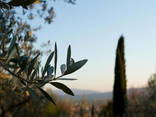Landhaus Santa Maria degli Angeli (Assisi) Umgebung 32