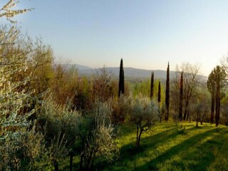 Landhaus Santa Maria degli Angeli (Assisi) Umgebung 31