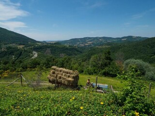 Type de propriété : Chalet Santa Maria degli Angeli (Assisi) Environnement 35