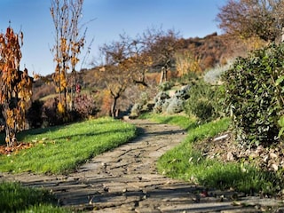 Vakantiehuisje Santa Maria degli Angeli (Assisi) Omgeving 38