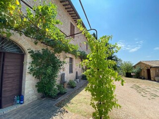 Casale Santa Maria degli Angeli (Assisi) Registrazione all'aperto 4