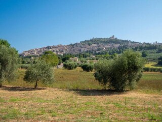 Vakantiehuisje Santa Maria degli Angeli (Assisi) Omgeving 26