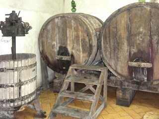 Ferienpark San Baronto Außenaufnahme 5