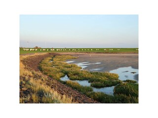Strand Fuhlehörn