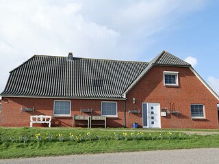 Frontansicht