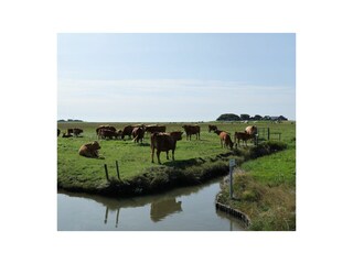 Hallig Hooge