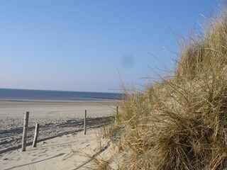 Vakantiehuis Sint Maartenszee Omgeving 14