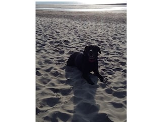 Holiday house Julianadorp Environment 22