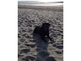 Vakantiehuis Sint Maartenszee Omgeving 22