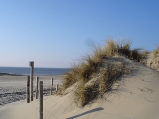 langer, feiner Sandstrand und Dünen