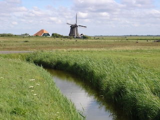 Polderlandschaft mit Bachläufen und Windmühlen