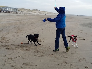 ideal für Kinder und Hunde (kostenlos willkommen)