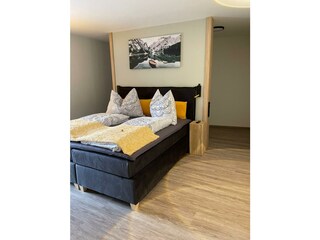 Appartamento per vacanze Telfes im Stubai Caratteristiche 7