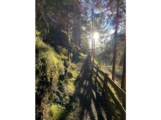 Appartamento per vacanze Telfes im Stubai Ambiente 19