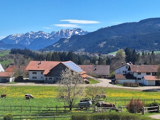 Alpenblick