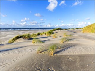 Appartamento per vacanze Schoorl Ambiente 25