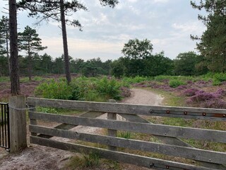 Appartamento per vacanze Schoorl Ambiente 31