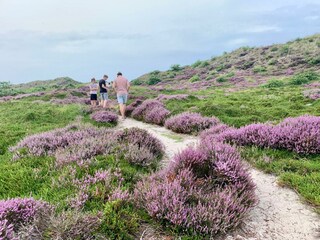 Appartamento per vacanze Schoorl Ambiente 32