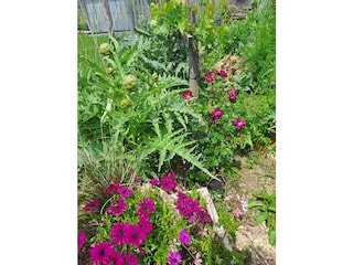 Ferienhaus Peschiera del Garda Außenaufnahme 13