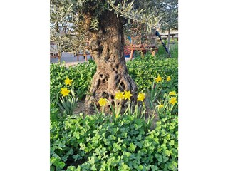 Casa per le vacanze Peschiera del Garda Registrazione all'aperto 16