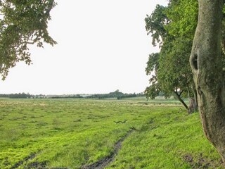 Casa de vacaciones Aså Grabación al aire libre 13