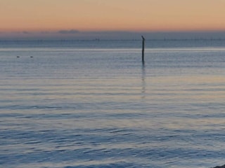 Ferienhaus Aså Außenaufnahme 7