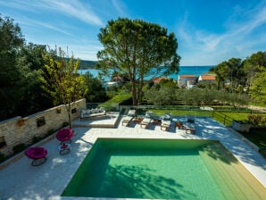 Villa Barotul with pool - Mrljane - image1