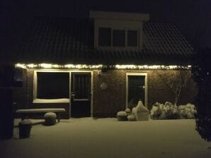 Cottage in Natura 2000 by the Sea Schoorl