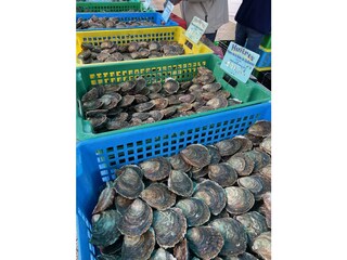 Vakantiehuis Plogoff Omgeving 26