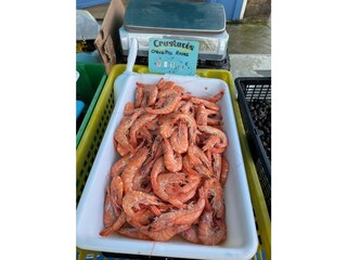 Maison de vacances Plogoff Environnement 27