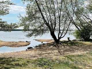 Holiday house Welt  20