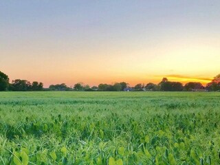 Vakantiehuis Sölvesborg Buitenaudio-opname 6