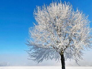 Vakantiehuis Sölvesborg Buitenaudio-opname 2