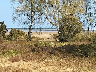 Ferienhaus Als Außenaufnahme 8