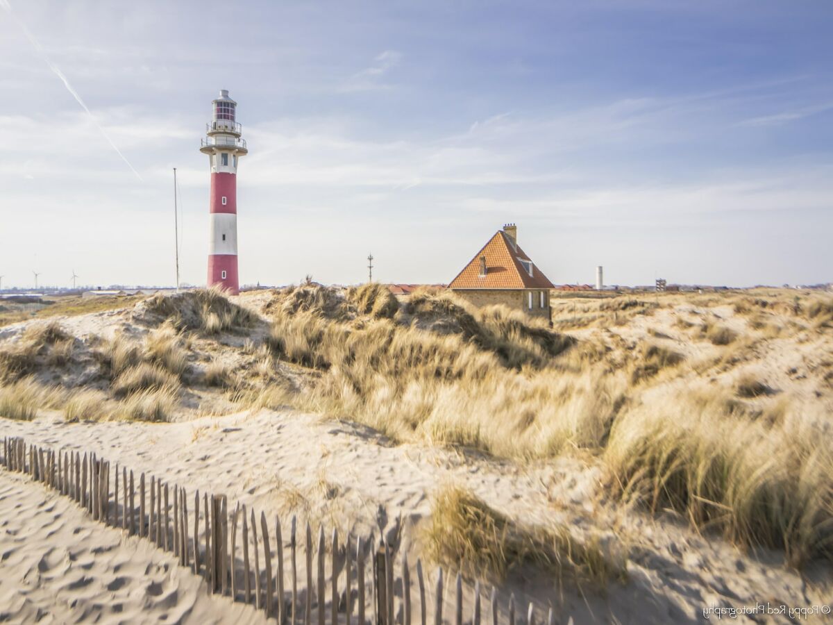 Apartment Nieuwpoort Umgebung 23