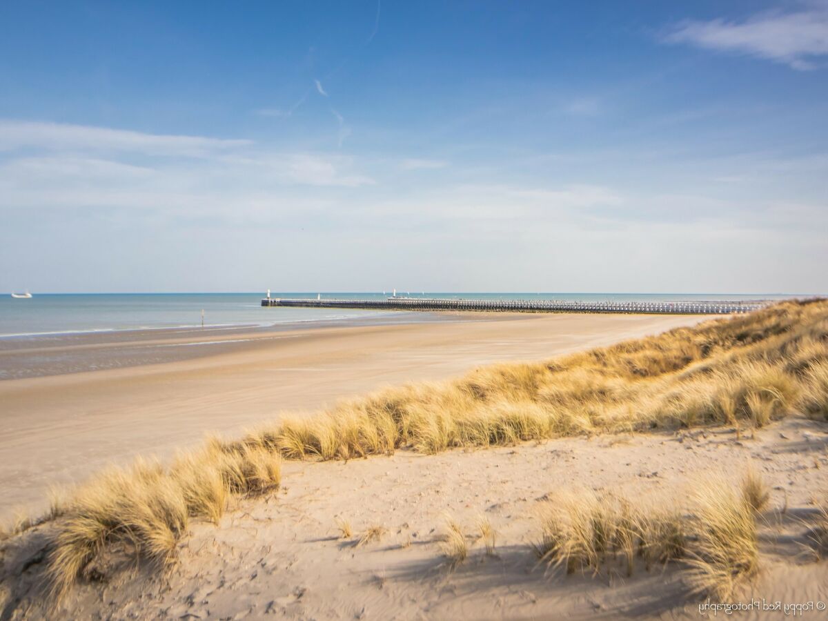 Apartment Nieuwpoort Umgebung 25