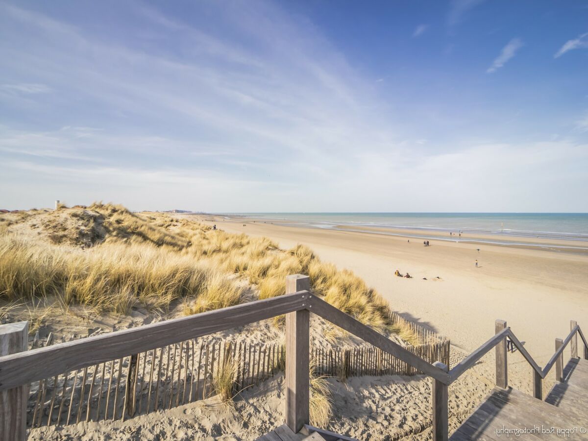 Apartment Nieuwpoort Umgebung 26