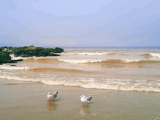 Appartamento Nieuwpoort Ambiente 28