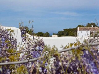 Maison de vacances La Savina  39