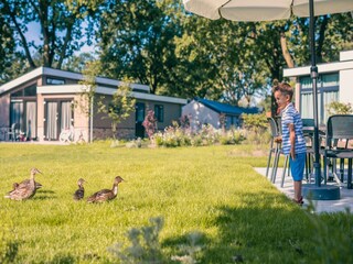 Ferienpark Udenhout Umgebung 17